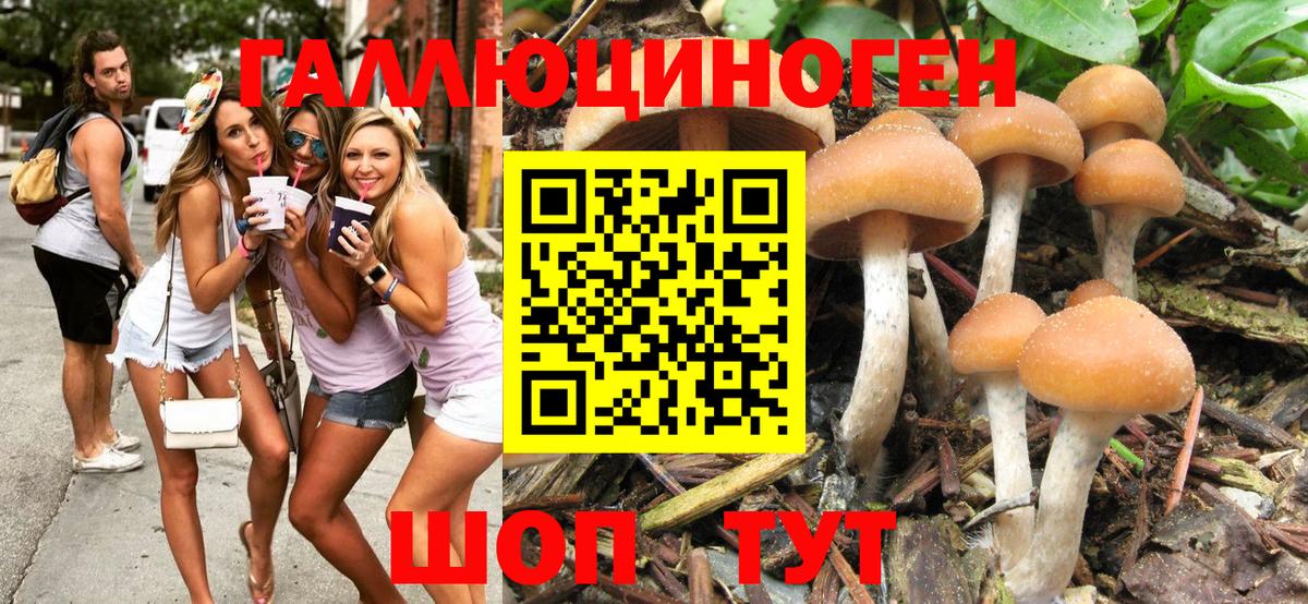 Псилоцибиновые грибы мицелий Спасск-Дальний